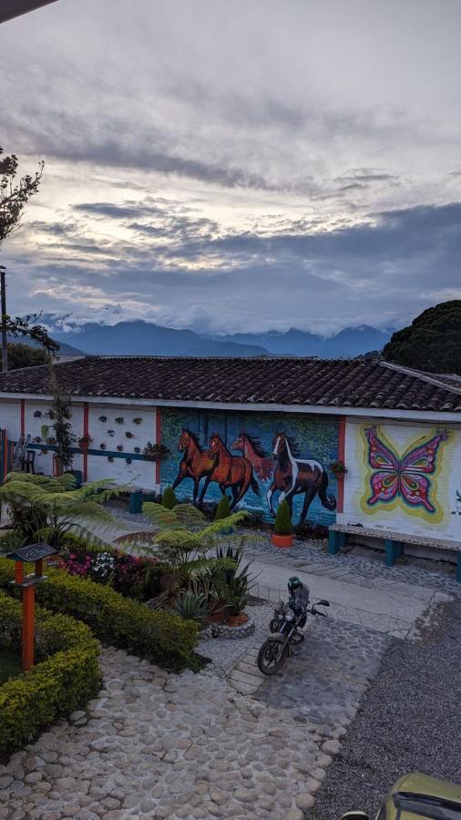 Diana Campestre Hotel Jardín