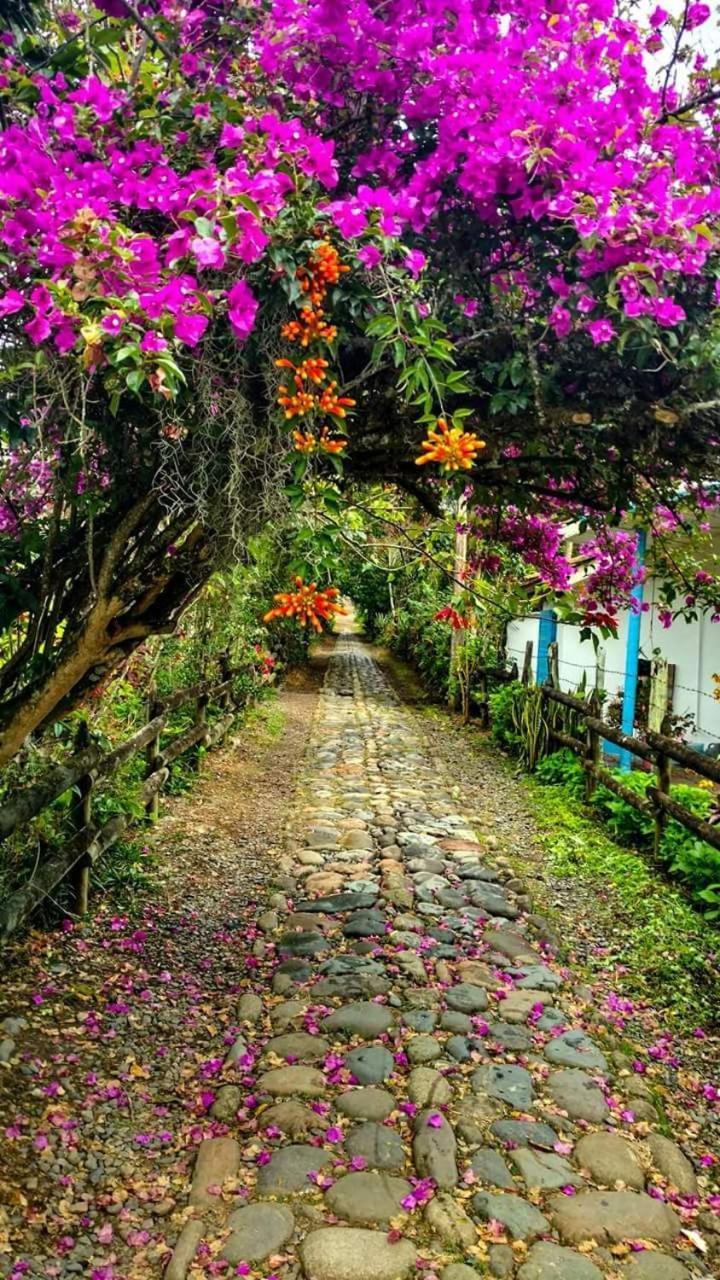 Dulce Campestre Hotel Jardin